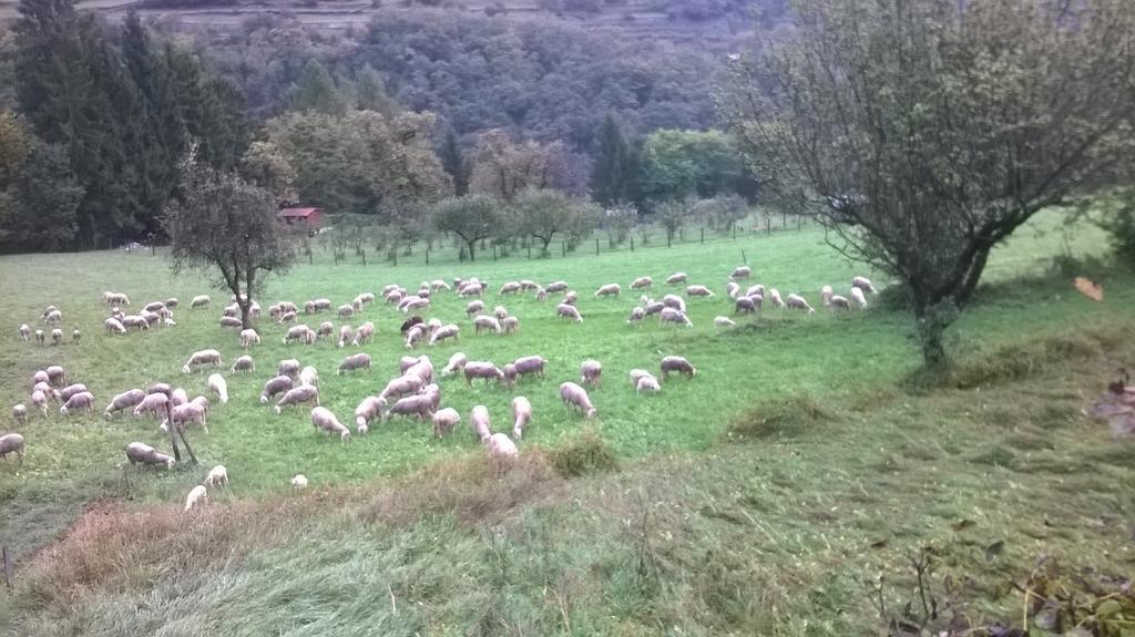 Antica Casa Ortensia Riva del Garda Rom bilde