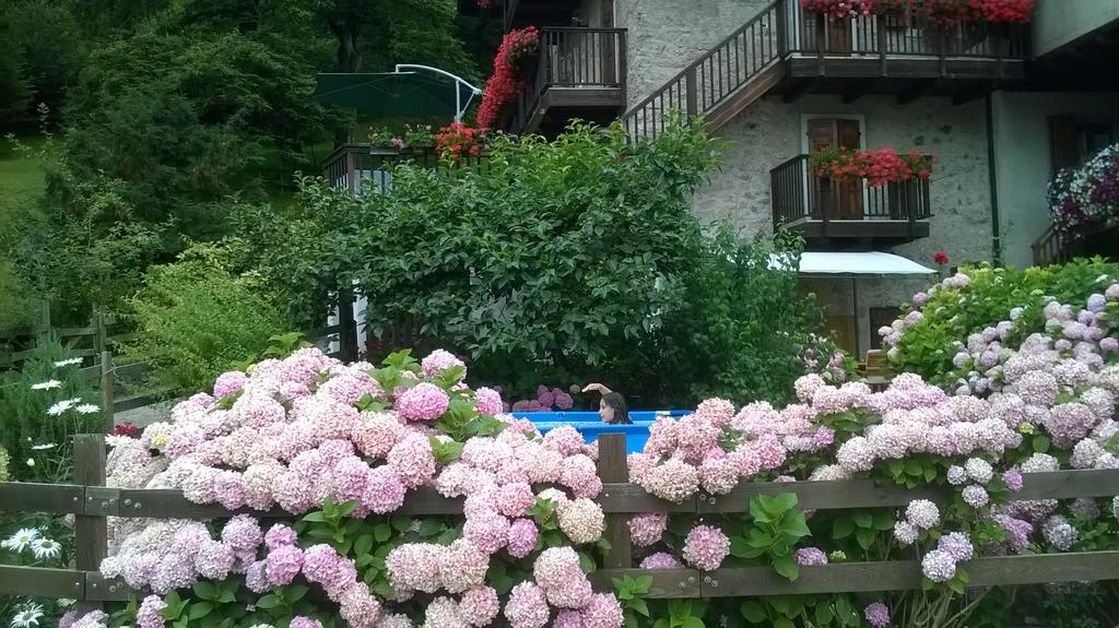 Antica Casa Ortensia Riva del Garda Rom bilde