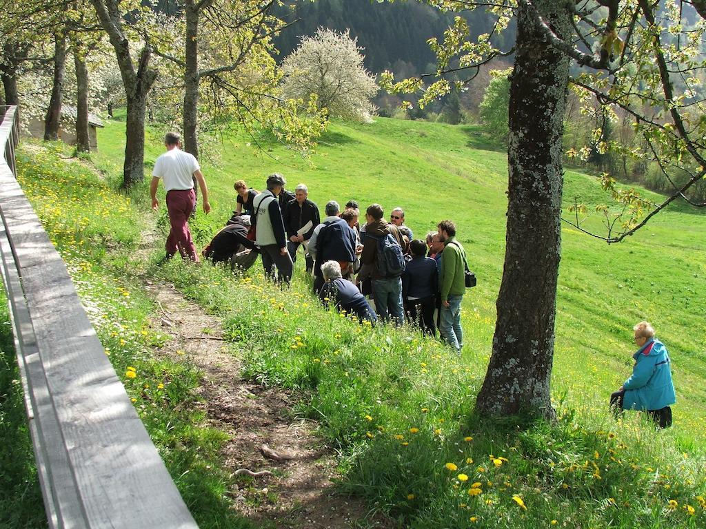 Antica Casa Ortensia Riva del Garda Rom bilde