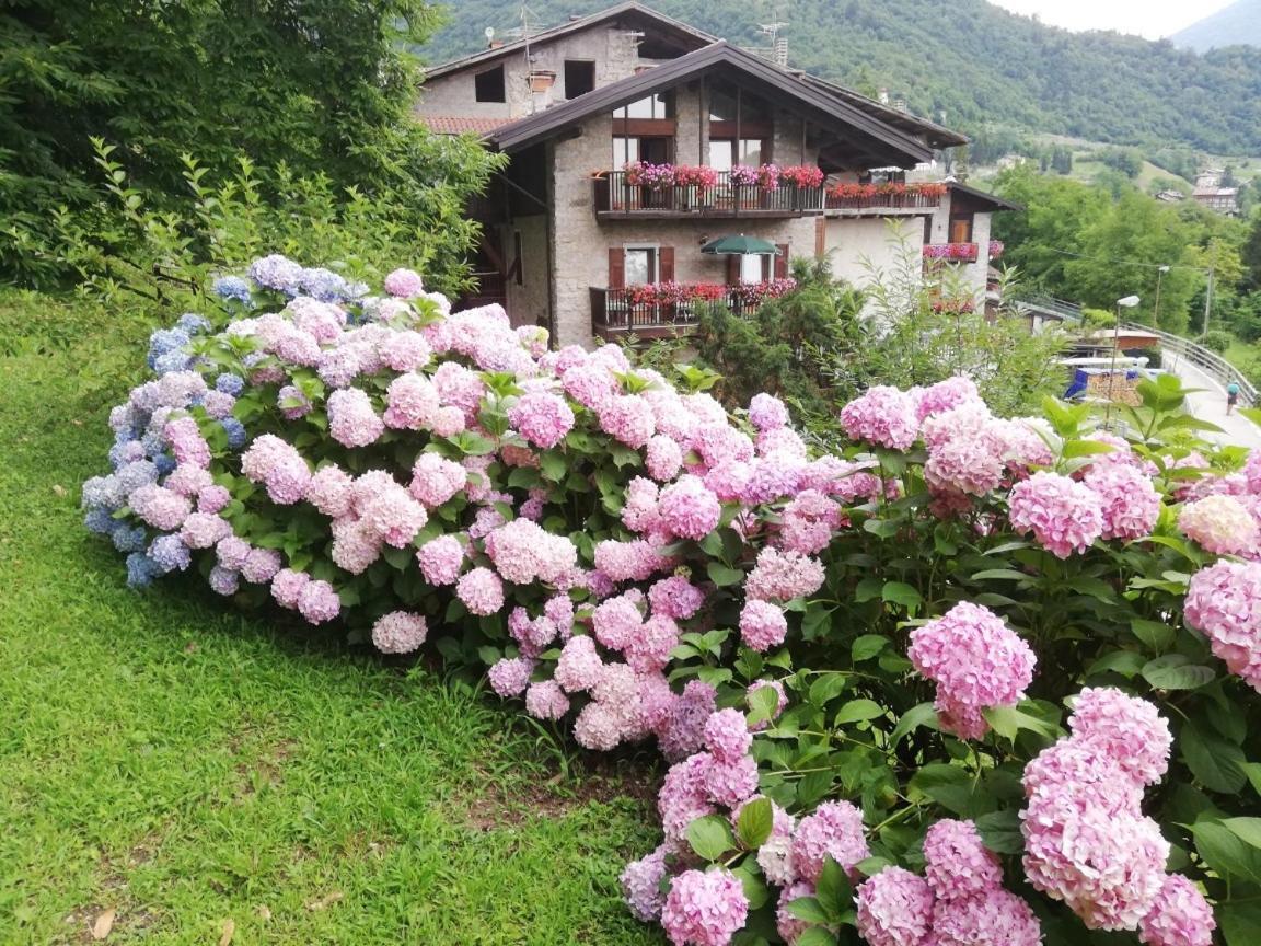 Antica Casa Ortensia Riva del Garda Eksteriør bilde